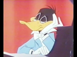 باگز بانی (کارناوال خرگوشی)